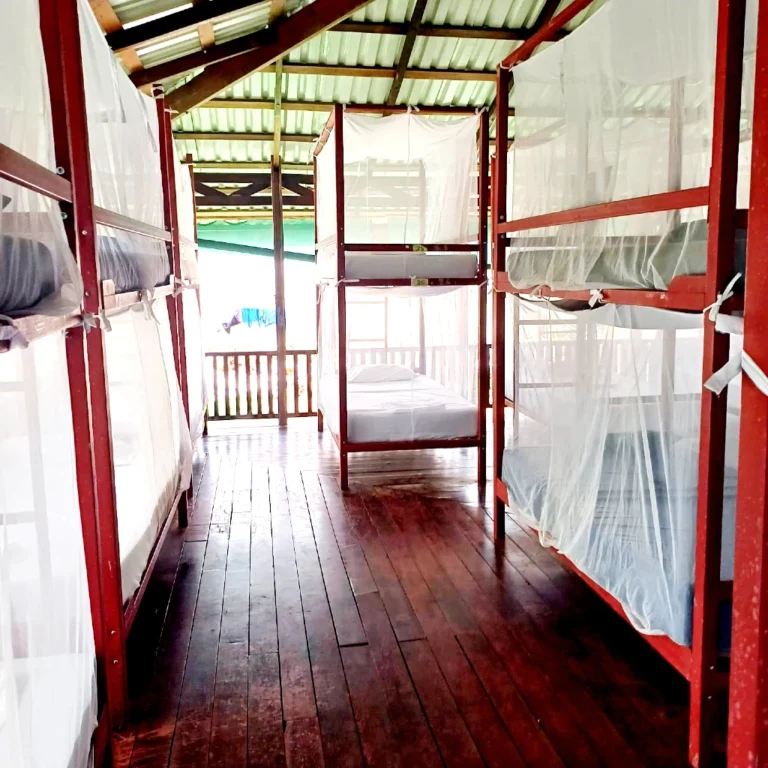 bunk-beds-sirena-station-corcovado-national-park-osa-outdoors-adventures Bunk beds inside Sirena Station, Corcovado National Park, Costa Rica – simple and comfortable lodging for visitors during overnight tours with Osa Outdoors Adventures.