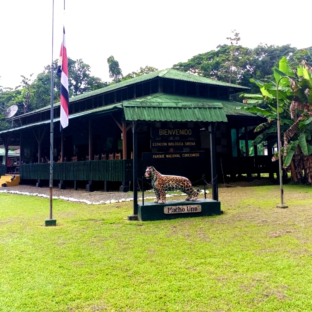 Sirena Station in Corcovado National Park, Costa Rica – main research and visitor center surrounded by tropical rainforest, featured in guided tours by Osa Outdoors Adventures.
